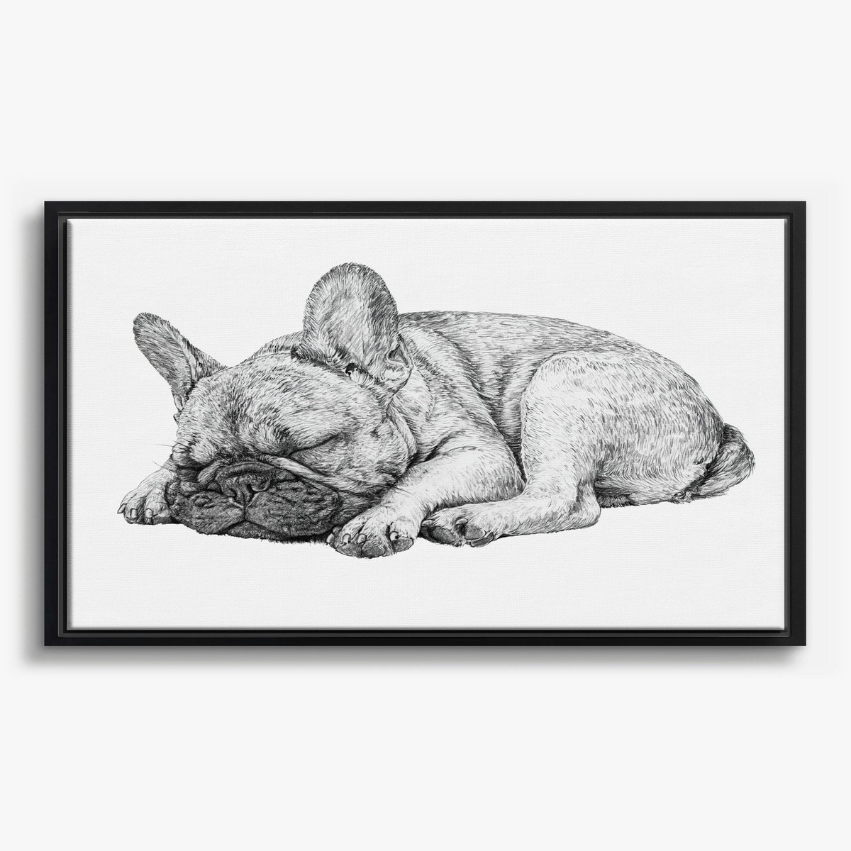 Sleeping French Bulldog Canvas Print